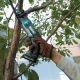 Аккумуляторная сабельная пила Makita JR103DZ (без аккумулятора)